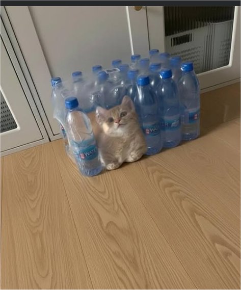caturday water majorgeeks.jpg